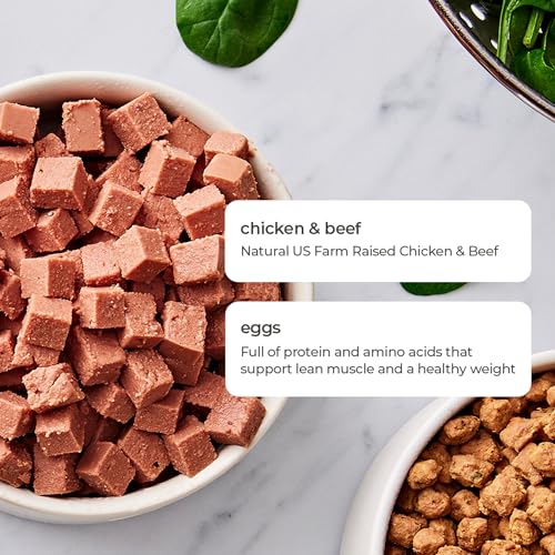 Select Freshpet Chicken & Cat Food, 1 Pound Beef, 16 Ounce : Pet Supplies - Image 4